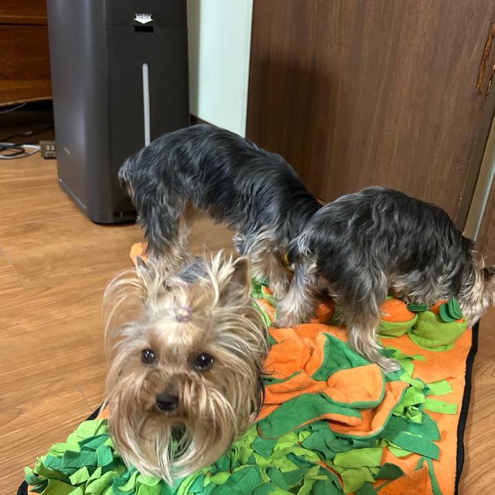 9602dba1 7c4e 4146 8a97 512086ebf403 1746490520415