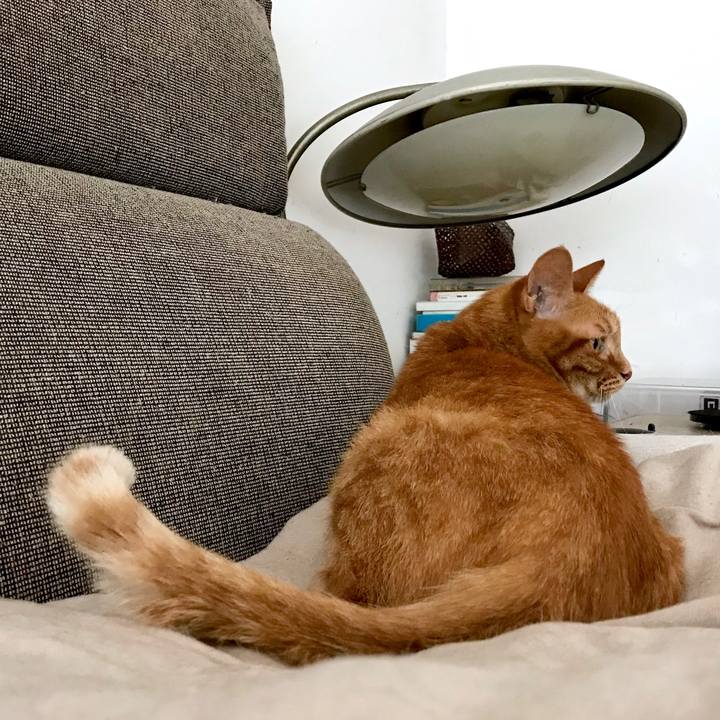 9602f13b 7379 4003 9005 1f452b1e15e4 1561301052762