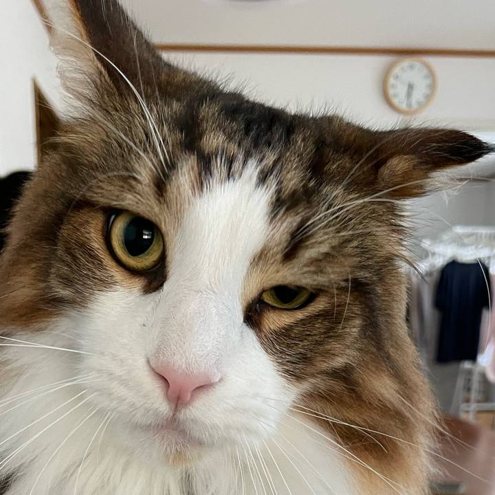 96035a8d 90f5 4727 b700 30ca2e233230 1664574184428