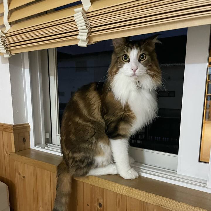 96036f5e d1b6 47b3 8a86 2b64f3abb594 1664741140037