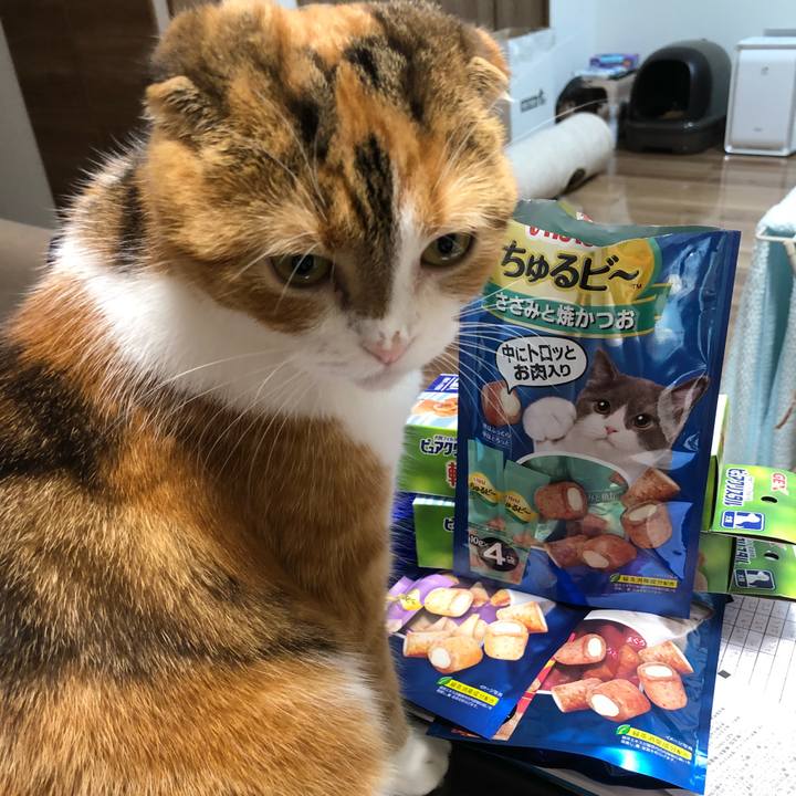 96038486 d61c 4667 9942 619494f21f2f 1535797800602