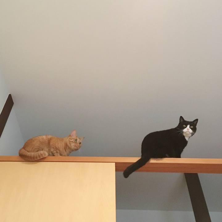 9603ab72 840f 42e8 b97b 92a25eb599c1 1541722243173