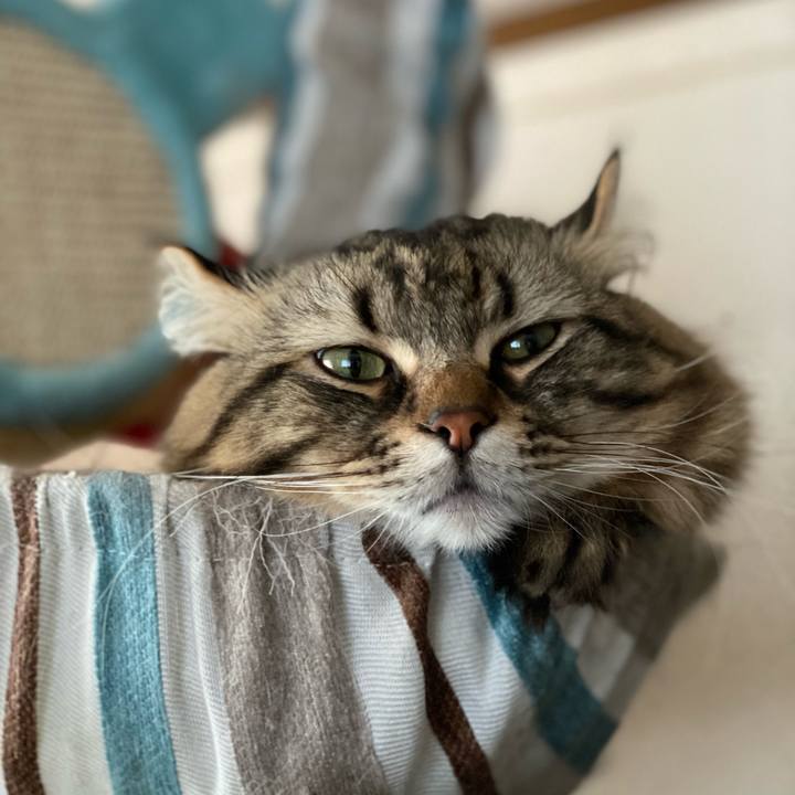 9603b810 d419 4c21 95f0 4d13db6586fb 1641421136264