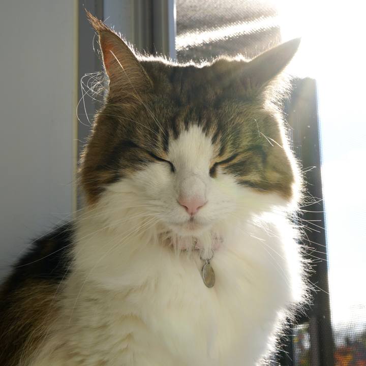 96041ac9 8939 44a2 9d9c 3463b71ef668 1575344769142