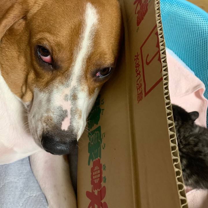 9604251e ecaf 48ed 98ef efc132b221fd 1563410260160