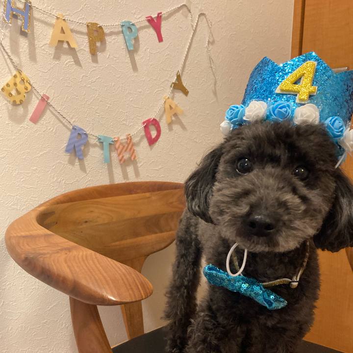 96049474 b6f9 4408 97ad 798c1b40e8ee 1643922849610