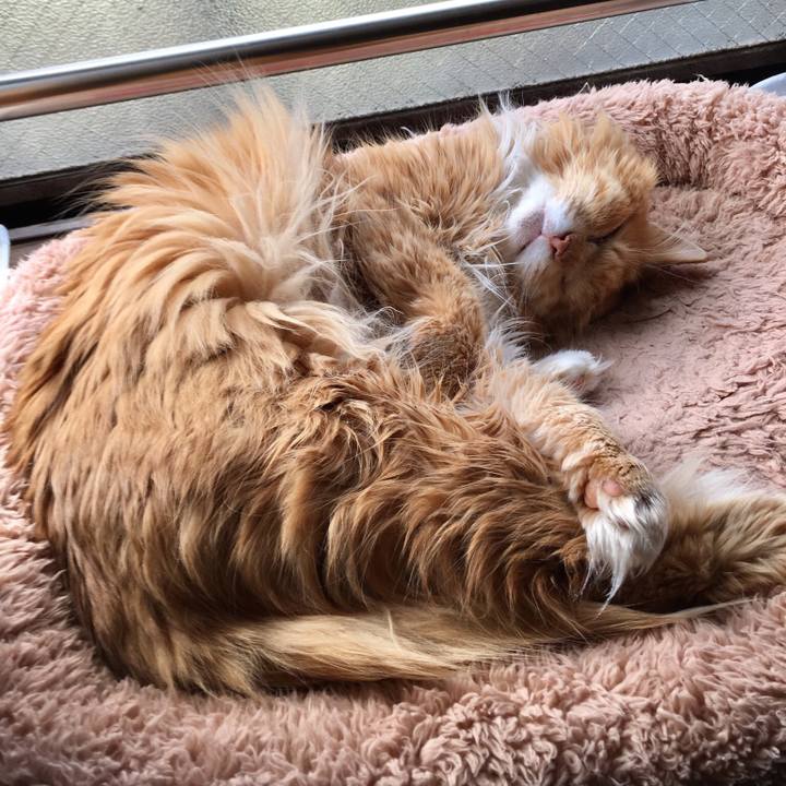 9604ac4e 43da 4ae3 9f57 1cd10183acaf 1522149972596