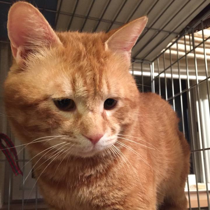 9604b1be fc29 4e50 b605 2759e417c84e 1521987690551