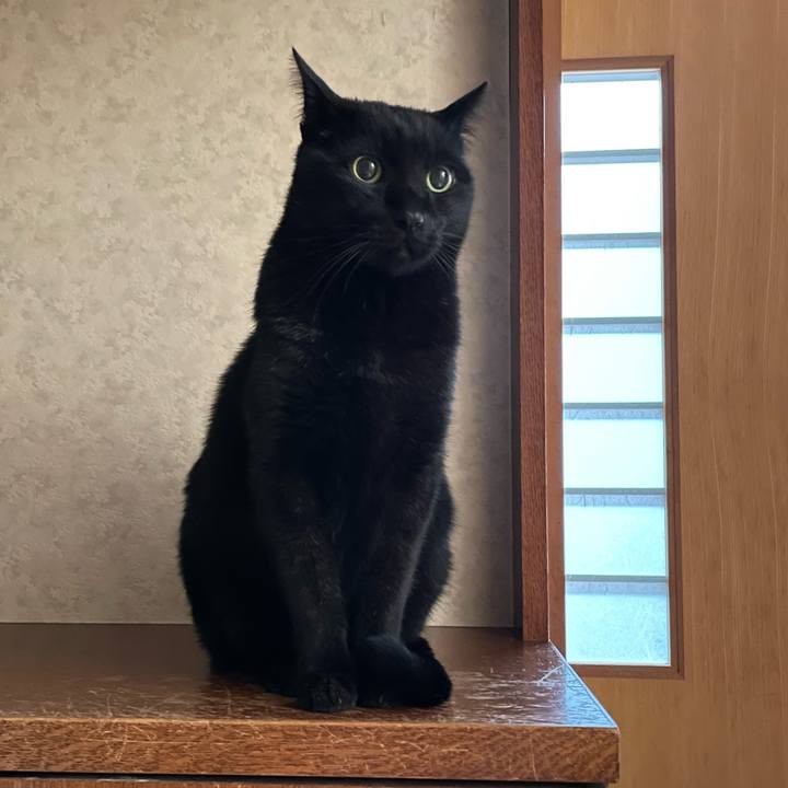 9604b46b cf1d 4f3b b0b8 409e21782f3a 1643077337917