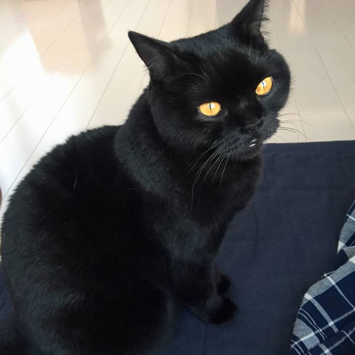 9604bea9 505e 4fcd 84d8 579d6e5249de 1549523755221