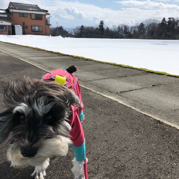 9604e5e5 a8d4 4b13 acff d0821318a7bb 1518934765686