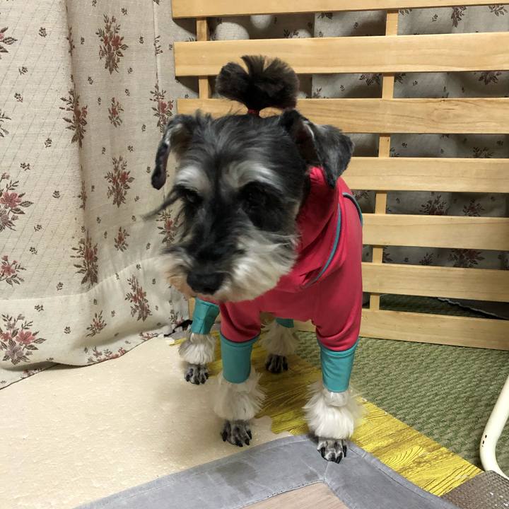 9604f143 3e3c 44bf a694 4fc23fe79df8 1646306225105