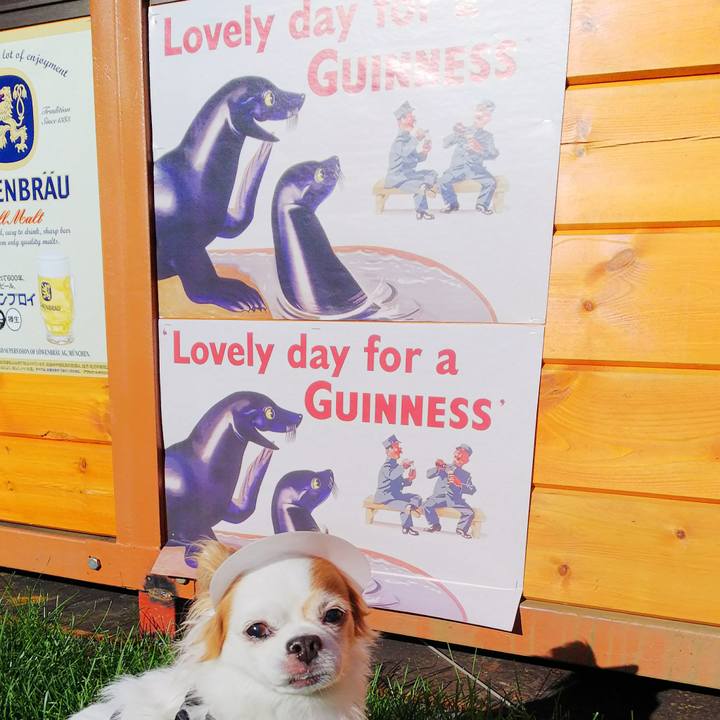 9604f20f 5049 47de b256 bdc47332e5a7 1532422344869