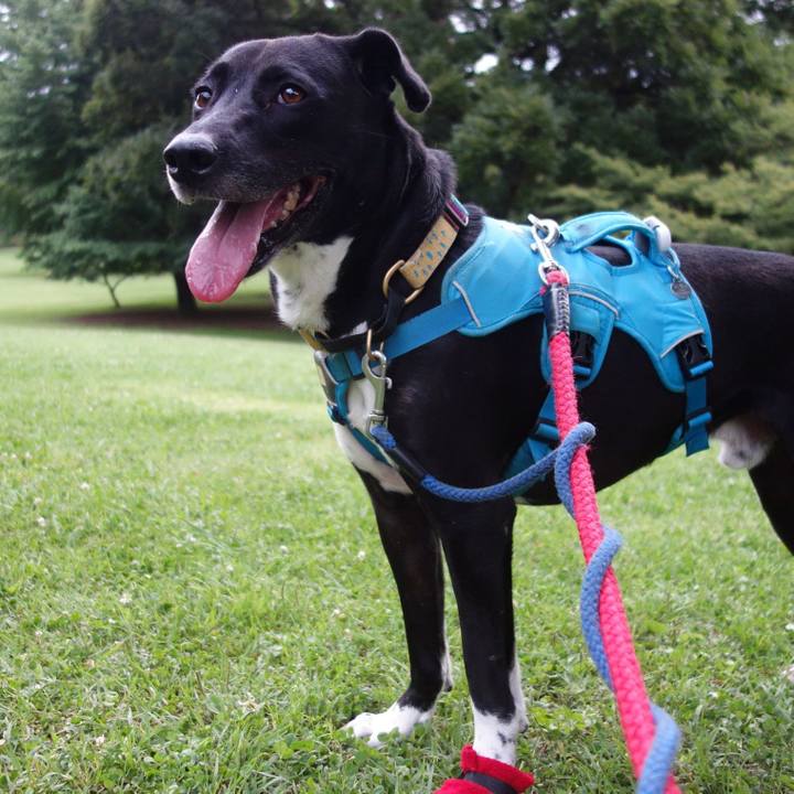 9604f2df 80cb 4c93 a5ce 337f75953aee 1624702128490