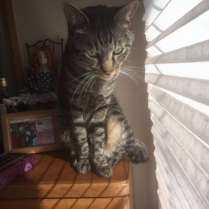 96050925 1eac 497a a6c9 3807c714569f 1516454681998