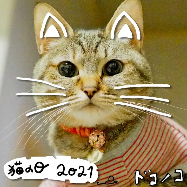 960582e2 8615 4aff b9ce 2a4526081878 1613966341572