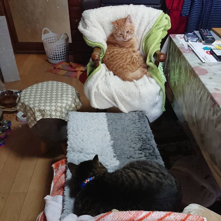 96058460 389c 4702 b086 5406455ac5e2 1641101337581