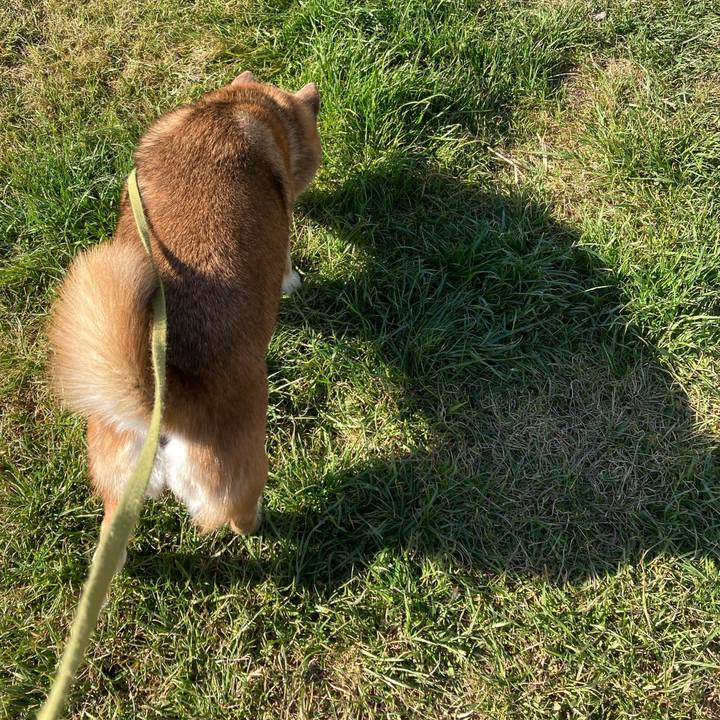 9605b57b 9651 4ce7 af40 0cba4e0181d3 1676961793521