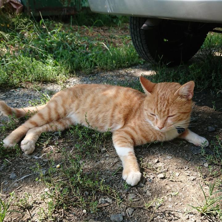 9605f40a 9c44 4fdc b1b6 96a8211ad9f2 1566696368933