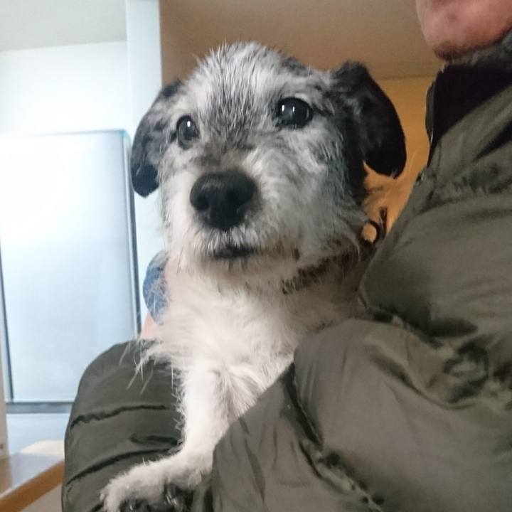 9605fce1 ed45 41fb 9290 16462b5e8d86 1552181984606