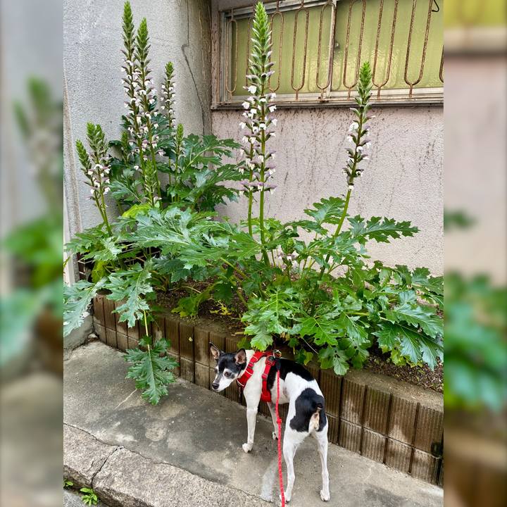 960628bf 71c5 48ea 8a95 fe32baa33cf3 1622345444092