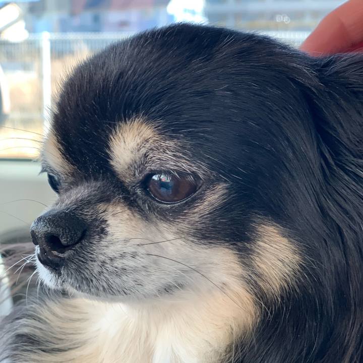 9606399e 2690 420a b6e8 3e32e40d050a 1553652597445