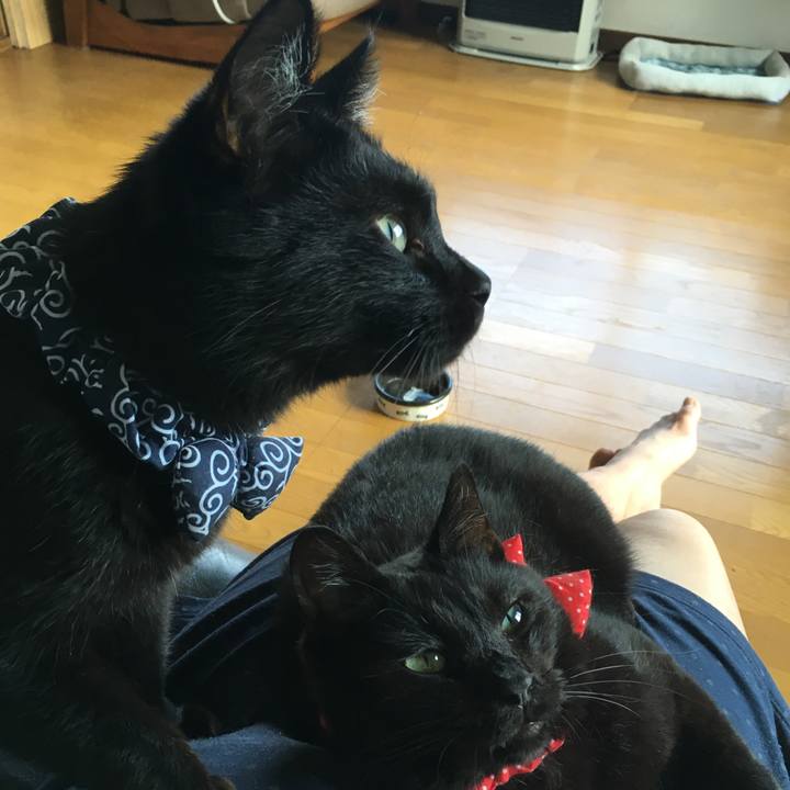 960653f2 a815 4329 ba07 c3c38cde7ef9 1536367338887