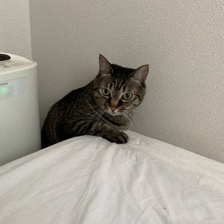 96067392 c69b 4195 926c 1b7e136d5707 1624924913341