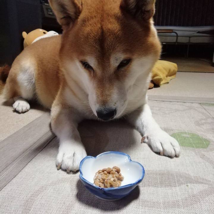 96067c09 5239 4f82 9302 78574a60dbc2 1602723272502