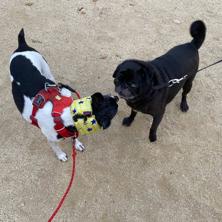 96067ebc deb6 4d5f 82e3 cbdbd72b135e 1628201719388