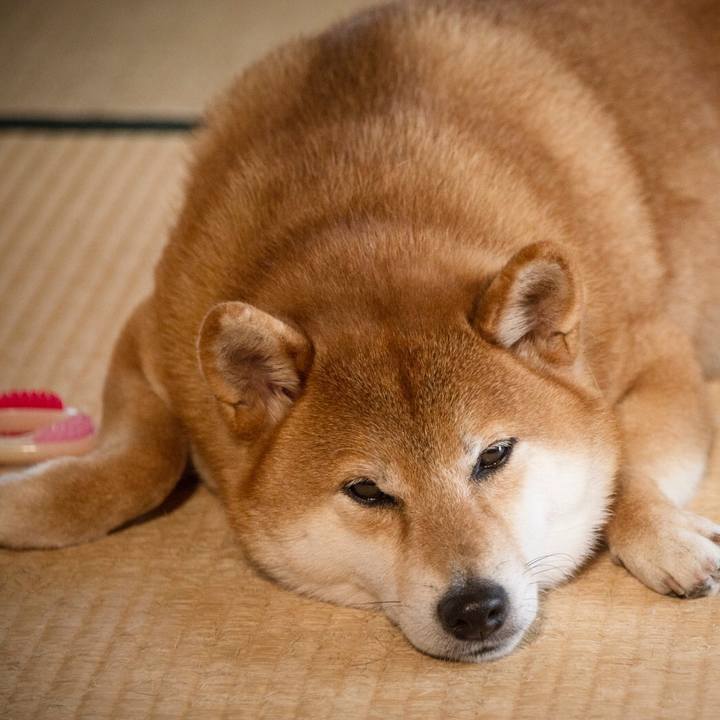 9606871e b0f0 4610 814e e09ae77f3db4 1569149474518