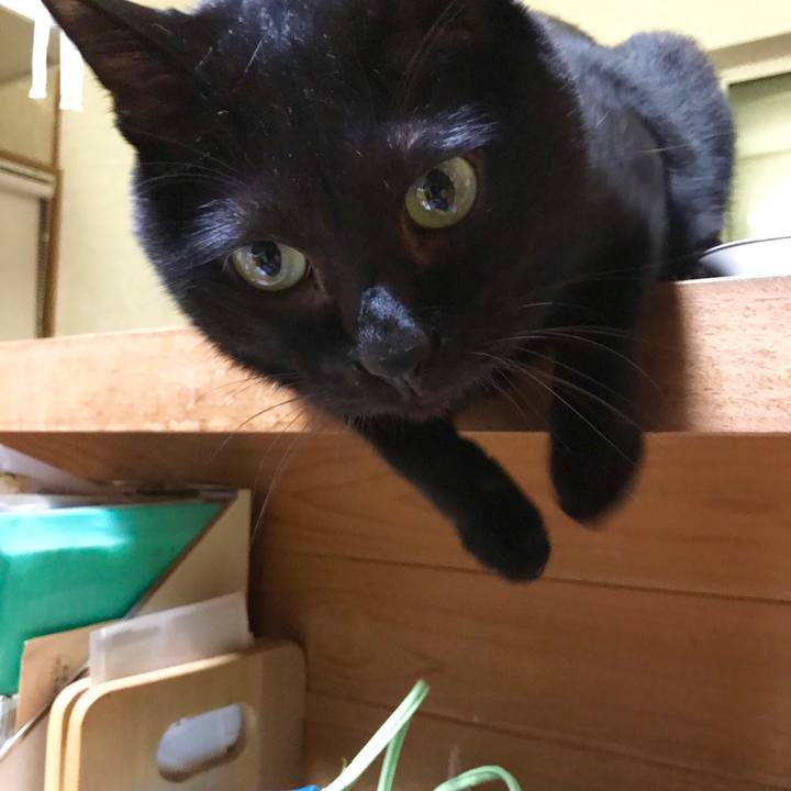 9606b0b5 6cd7 4900 b9bf 901895e1c328 1507985885701