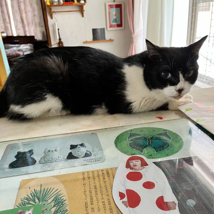 96074535 9e49 4a76 b10a aa8cfcb63c7b 1722769006544