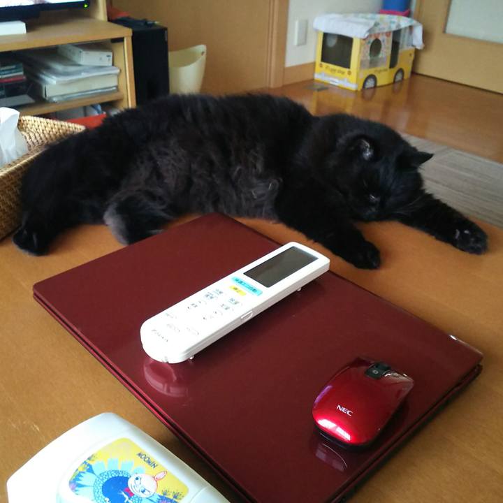 960761d9 4aaa 402a a69a fa413cd8665b 1562059316959