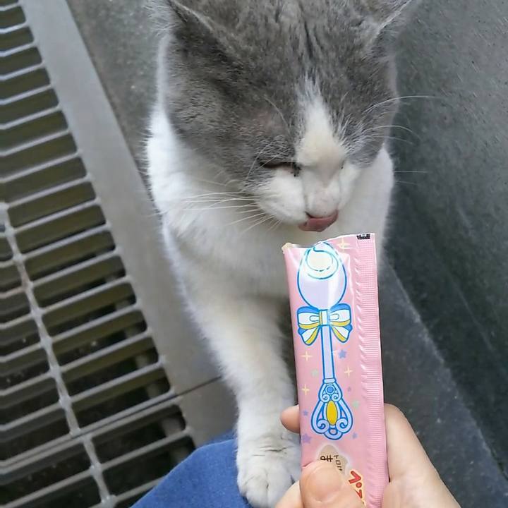 9607c8bb 148e 4d48 927a d99ff623009f 1518340690031