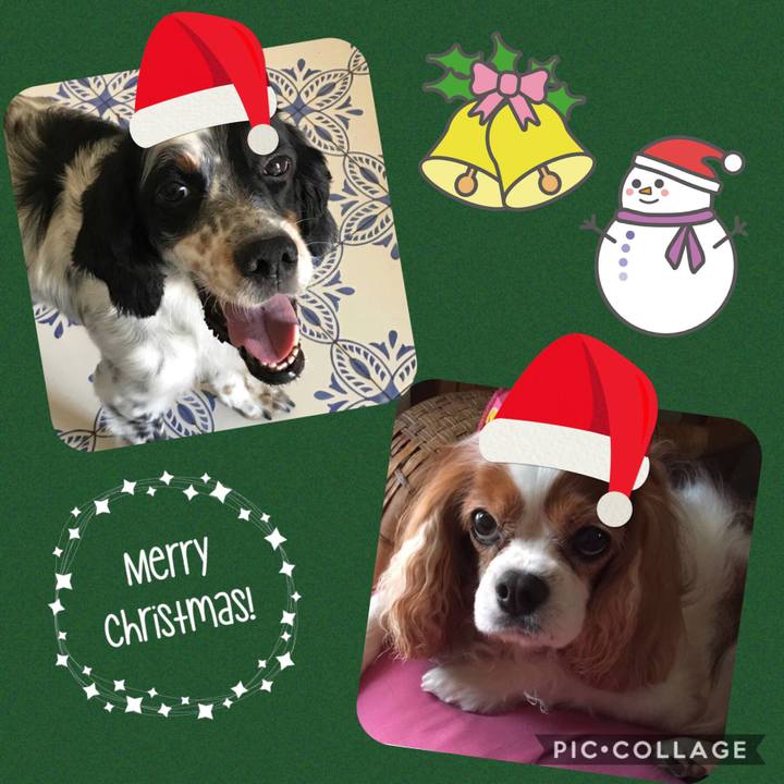 9607d640 5216 42d1 b908 41c8baf70504 1545231356952