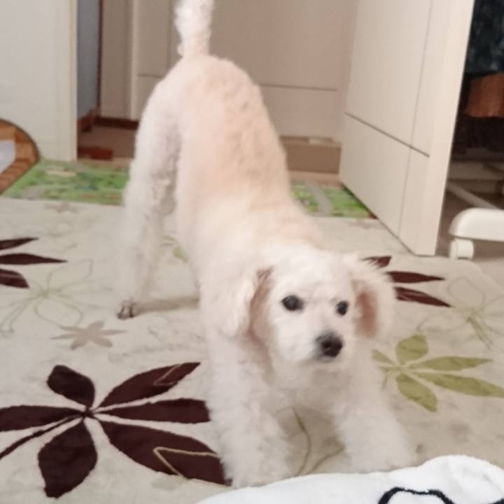 9607f408 6a6d 4fb9 9c68 55fbea7fd5be 1602664738209