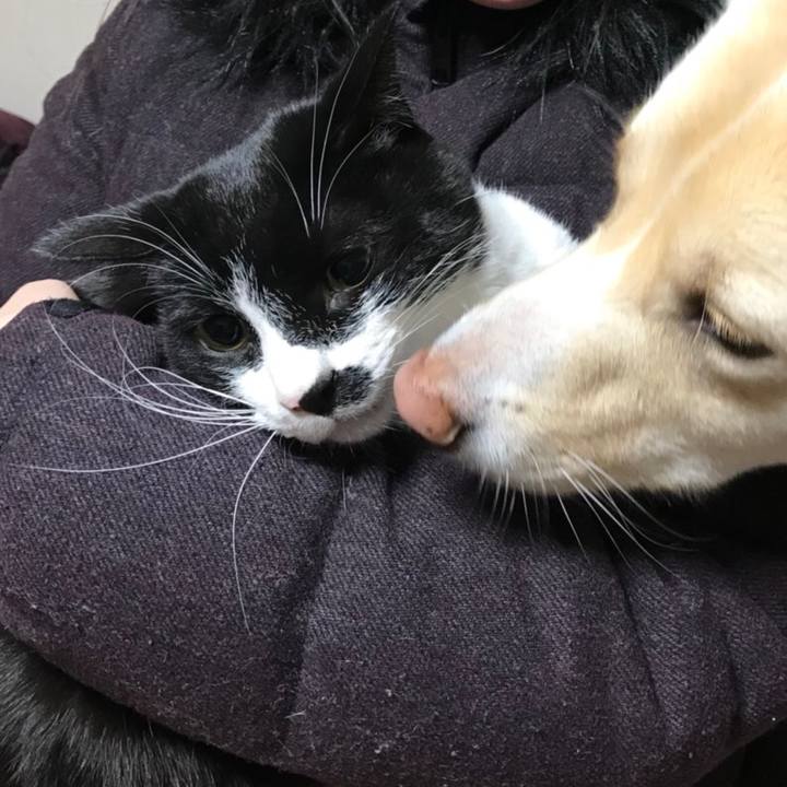 960801c4 89f4 4e2d a745 3c74cc47a102 1514899822036