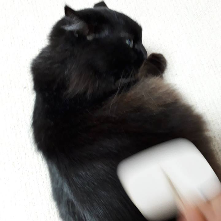 9608097f f851 4c3f abc9 499ab04b7194 1518715005896