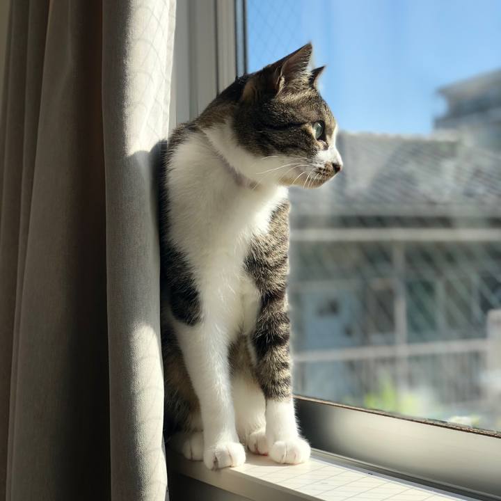 96081842 3940 4392 bbcb 791dc45a84a8 1524697123941