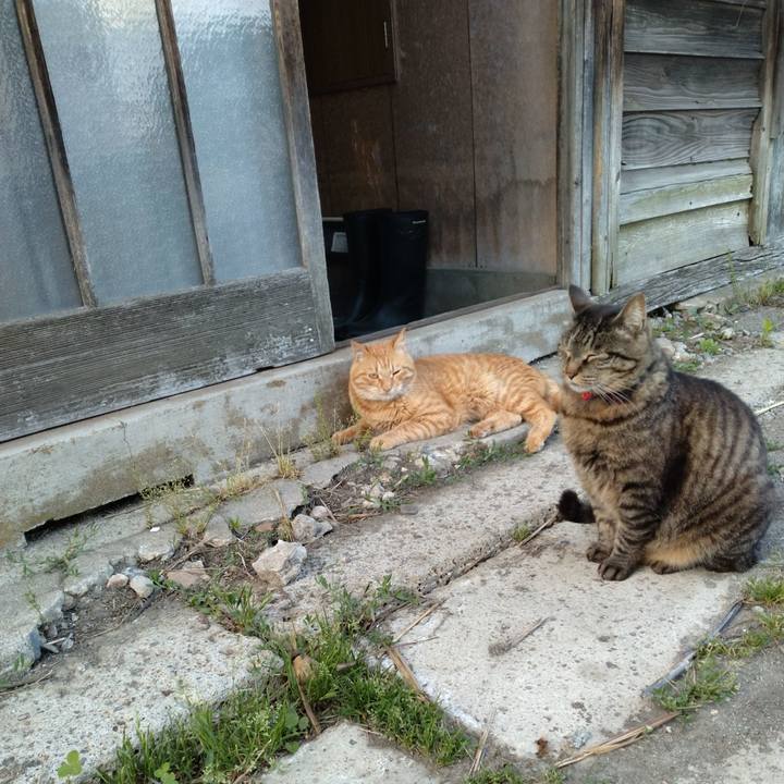 960845db c8a3 4ed4 9bb5 f8c5e1a74dbd 1685873040741