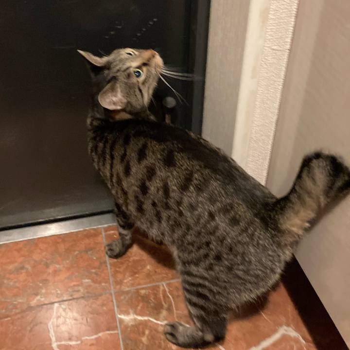 96086201 3cae 491f 87d1 a69bea1d9197 1609828892986