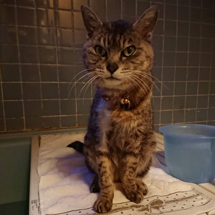 96086c8f 1177 44c4 a6af f99714ca37ab 1593685635163