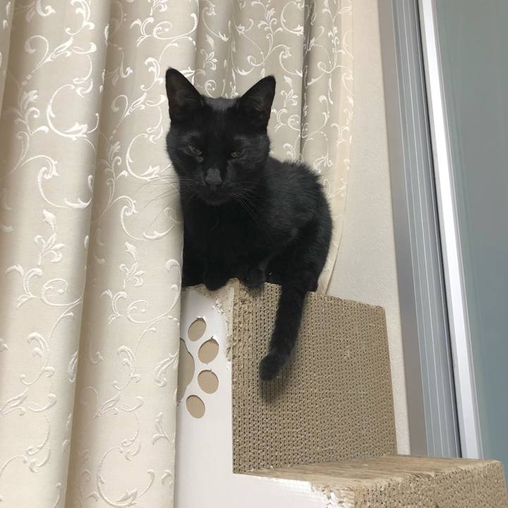 9608b6a8 69c1 4749 9717 e31d2de46115 1635755593747