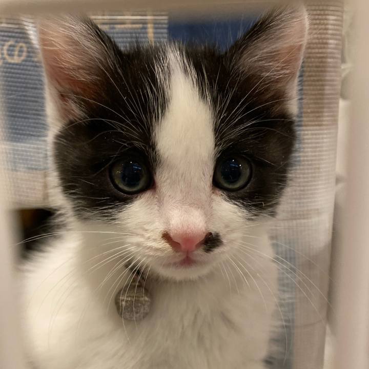 9609127c 4703 4280 a761 0322f854c67e 1651658630529