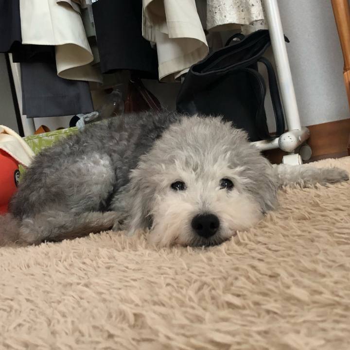 96092b7e bef6 4f58 be5c f3bc9378f870 1562107738549