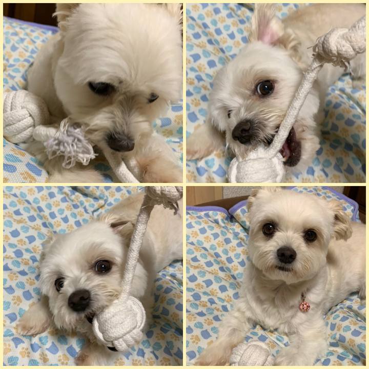 96092f92 5651 4185 a4af aa7ae5d2bfb7 1593865876327