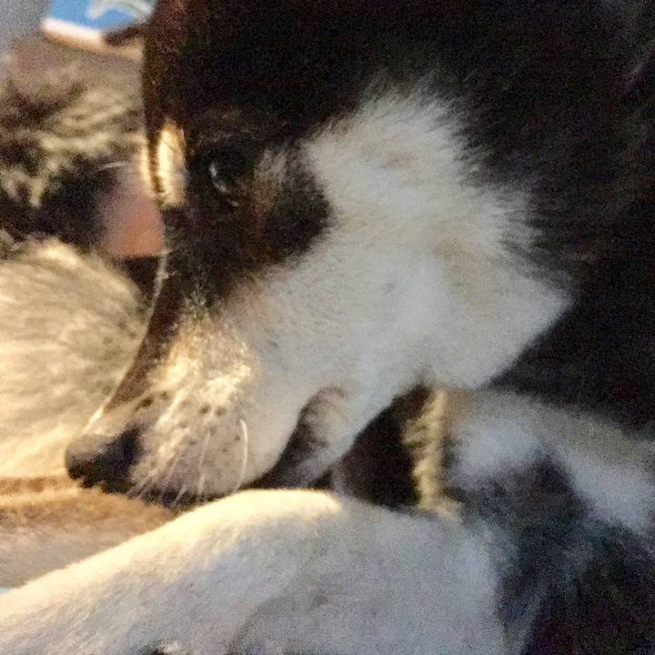 96093374 484c 4923 911a a617c29acf78 1569187583896