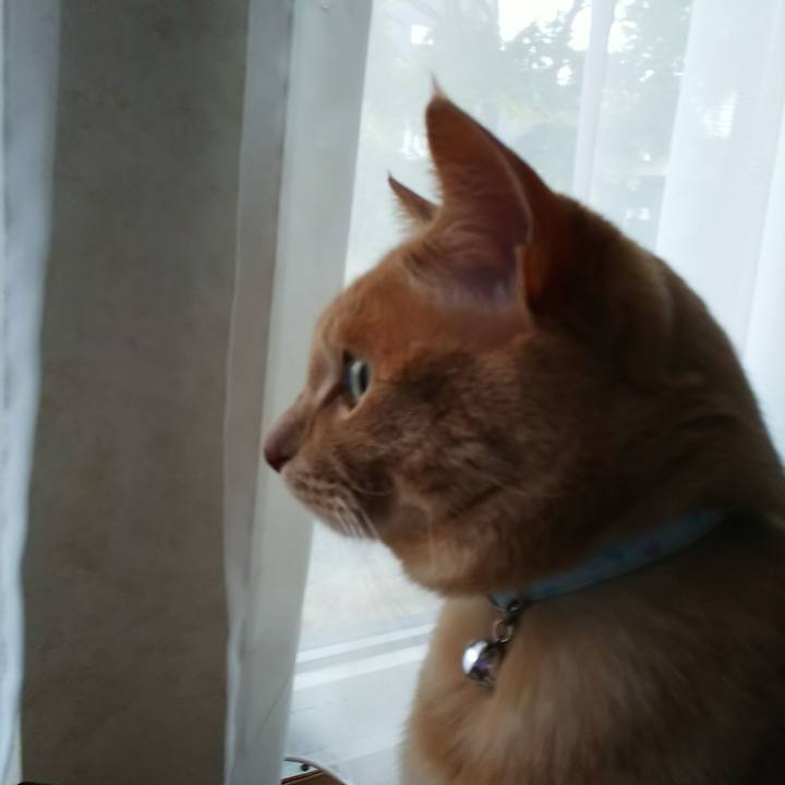 96093bf7 1802 43aa b10a 7a92a4ed0d38 1622797978477