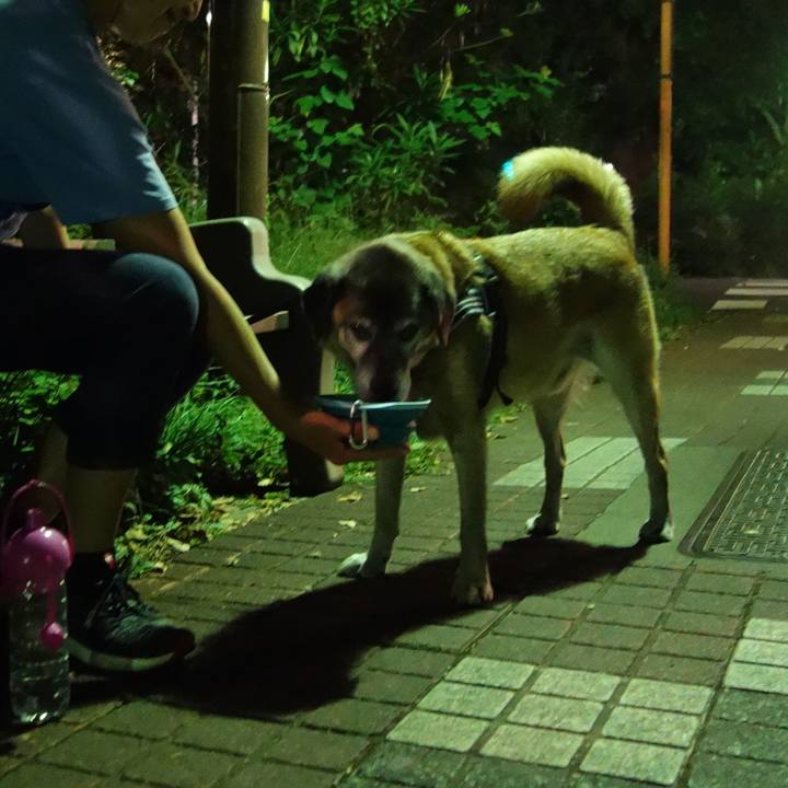 96093e3a d491 4ade a105 bf08263aacdc 1570281825422